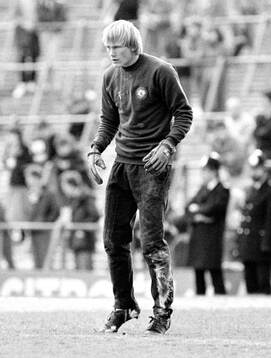 Football, Division One, England 1982-1983, Arsenal -