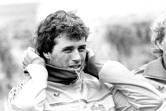 Glenn Hysén, Sverige