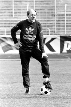 Lars Arnesson, Tränare i Sverige