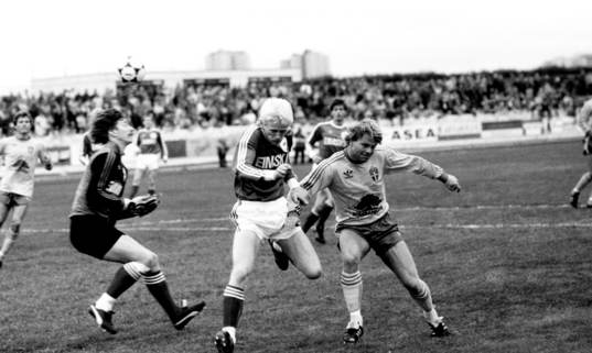 Mats Jingblad, Sverige