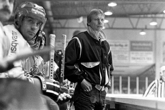 Thommie Bergman, tränare i HV71
