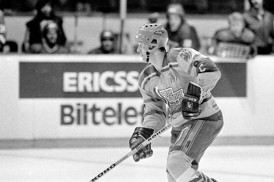 Anders Eldebrink, Sverige