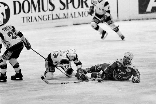Ishockey, Malmö - Dalen