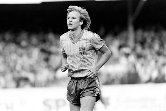 Dan Corneliusson, Sverige