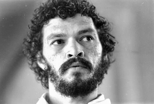 Socrates of Fiorentina