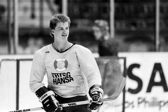 Bengt-Åke Gustafsson, Sverige