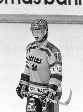Bengt-Åke Gustafsson, Sverige