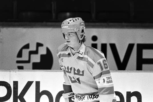 Bengt-Åke Gustafsson, Sverige