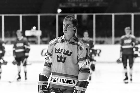 Bengt-Åke Gustafsson, Sverige