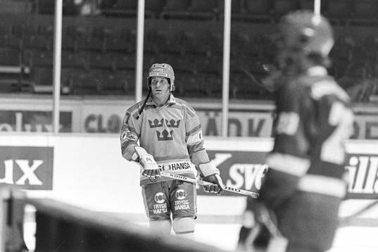 Patrik Sundström, Sverige