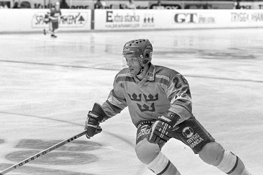 Mats Näslund, Sverige