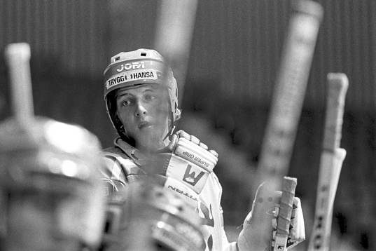 Tomas Sandström, Sverige