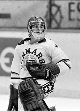 Bläddra bland fler bilder av Ishockey, Elitserien, Färjestad - Hammarby, 5-1