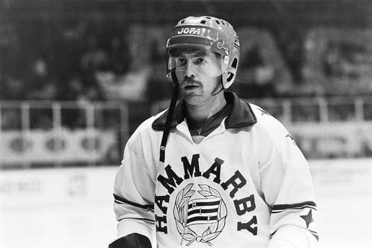 Tony Landeskog, Hammarby