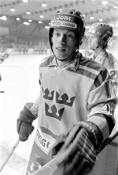 Jonas Bergqvist, Sverige
