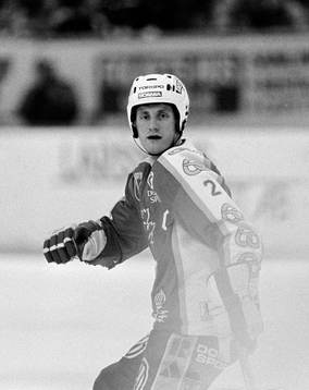 Ishockey, Elitserien, SM, final, Södertälje -