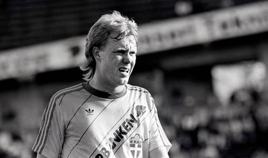 Lars Larsson, Sverige