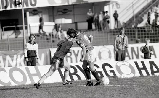 Lars Larsson, Sverige