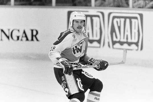Kari Eloranta, HV71