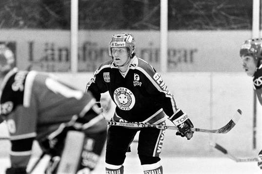 Joakim Pehrson, Brynäs