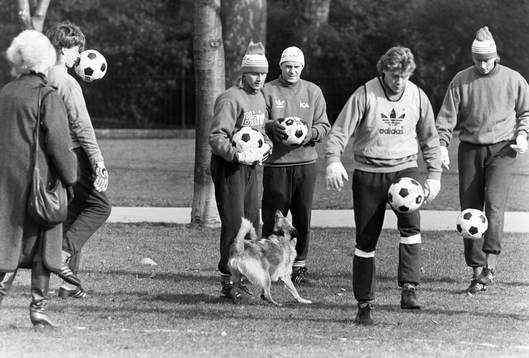 En hund hoppar med på en träning