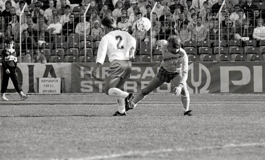 Tommy Holmgren, Sverige