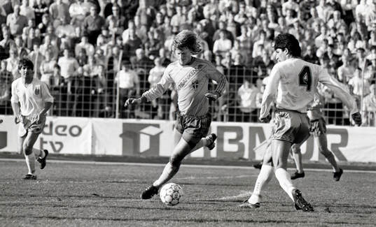 Stefan Pettersson, Sverige