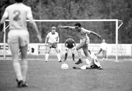 Martin Dahlin, Sverige