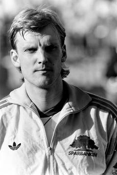 Ulf Eriksson, Sverige