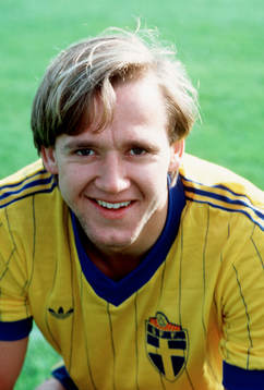 Dan Corneliusson, Sverige