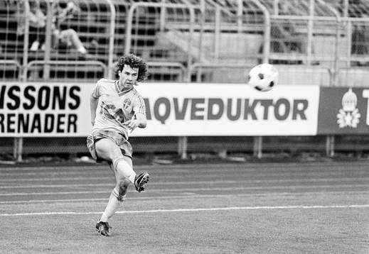 Stefan Rehn, Sverige