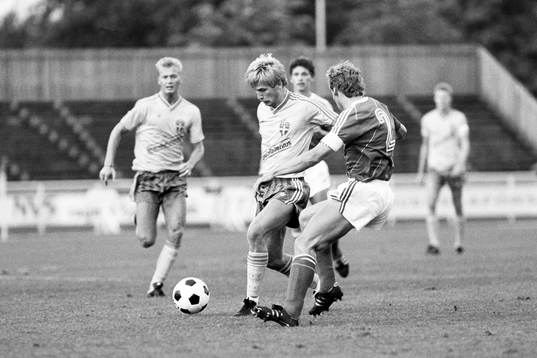 Lennart Nilsson, Sverige uppvaktas