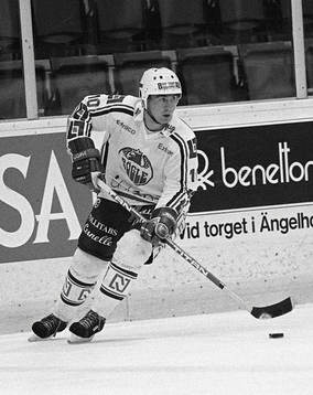 Tommy Själin, Rögle