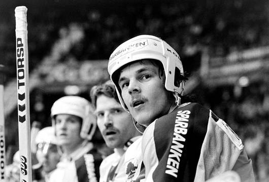 Arto Ruotanen, HV71