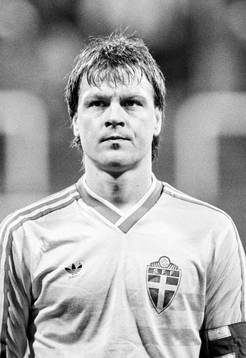 Göran Arnberg, Sverige