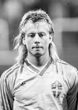 Magnus Johansson, Sverige