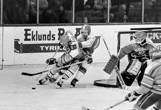 Peter Sundström, Sverige hakas