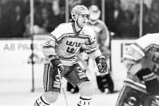 Michael Hjälm, Sverige