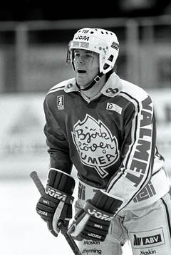 Peter Andersson, Björklöven