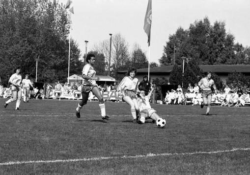 Fotboll, Sverige - Danmark, 0-1