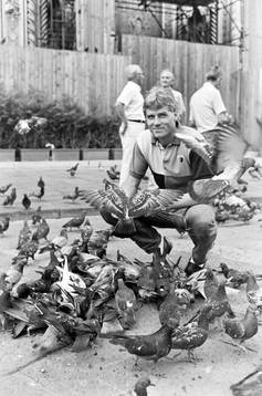Glenn Hysén i Florens