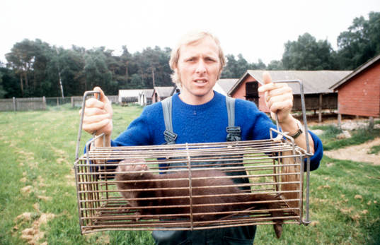 Minkfarmare Sven-Bertil Andersson i Mjällby