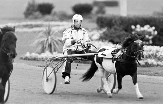 Christer Abrahamsson, Leksand kör ponnytrav