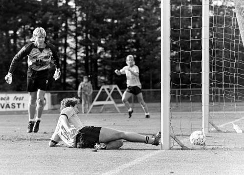 Hässleholms Stefan Gustavsson glider in med bollen i mål
