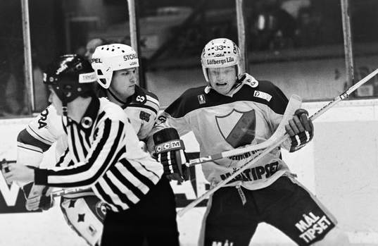 Tomaz Eriksson, Djurgården