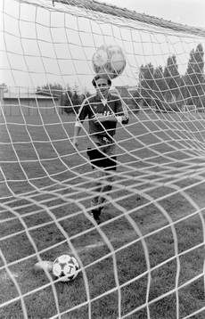 Dan Corneliusson