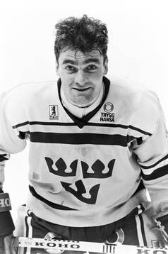 Anders Johnson, Sverige
