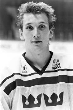 Mikael Johansson, Sverige