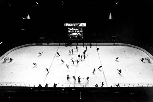 Maple Leafs Garden