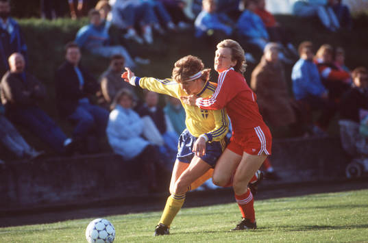 Lena Videkull, Sverige